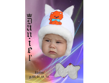 ������� ����� ����� 220 ���