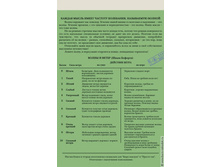 ������� � �����-3.jpg