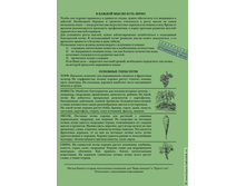 ������� � ������-2.jpg