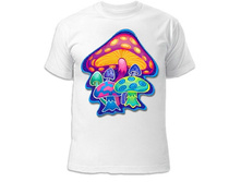 �������� ����� 260 ���