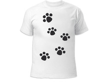 �������� ����� 260 ���