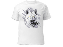 �������� ���� 260 ���