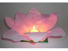 «������ �������� �����»