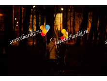 ���������� ���� «��������»