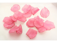 �������� � ���������� ���1.jpg