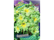 87,35���. �������	��������� (�������� ���� �� 2 ��., ����������� ����� 2��.).jpg