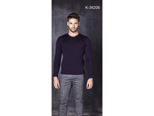 ������� (���: K-36206)