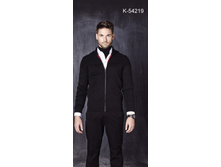 ����� (���: K-54219)    ����: ޣ����.