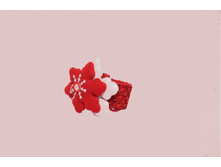 Slap-������� \"��������\"