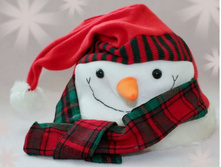 ������ ���������� ��������