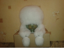 ���� ����� ����� � �����