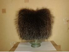 ����� ���**��� ������