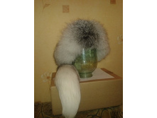 ������� ������� �������� ���� (���.���)