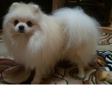 2013-11-11 22.14.14.jpg