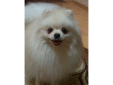 2013-11-11 22.15.29.jpg