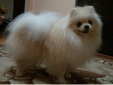 2013-11-11 22.17.28.jpg