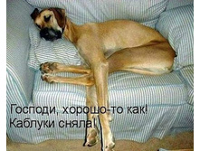 getImage (2).jpg