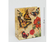 ���� 29 ���.