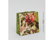 ���� 24 ���.