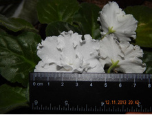 ��������� �����.JPG