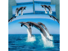 63357  FX Delfini v More DOUBLE.gif