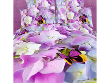 62045 FX Gortenzia EURO.gif