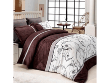 55575 MP Prag EURO BR.gif