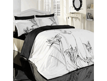 52954 MP Natura EURO BLKW.gif