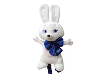 2095791 ������ GT6004 ����� 42 �� - 825,00.jpg