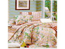 62812 ZHG Shanti FAMILY.gif