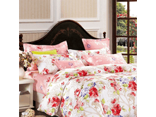 63895 EH Intriga FAMILY PE.gif