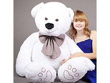 ������� ��-900.jpg