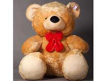 ������� ��-907.jpg