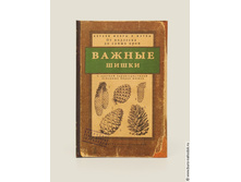 ��������� ������ ����� (3 ������)-303�.jpg