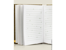 ������� ����������2.jpg