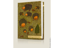 ������� ����������-286�.