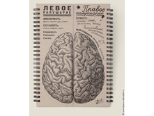 ������� ���� ��������� ������-248�.