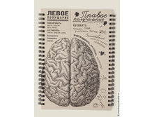 ������� ���� ������ ��������� - 247,5�.