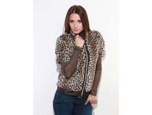 ��������� ���