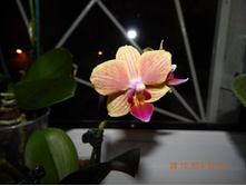 ��� ����.JPG