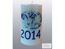 ����� 2014 - ��� ������ 95 ���.