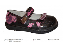 FP1505 ������