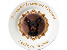 ������ ������ �������� copy.jpg