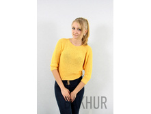 017������ 461���.