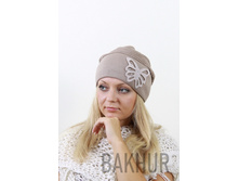 2023������� 282���.