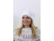 2023����� 282���.