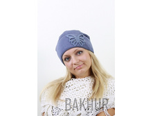 2023����� 282���.