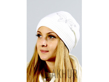 2024����� 282���.