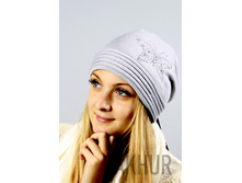 2024����� 282���.