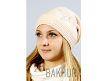 2024�������� 282���.